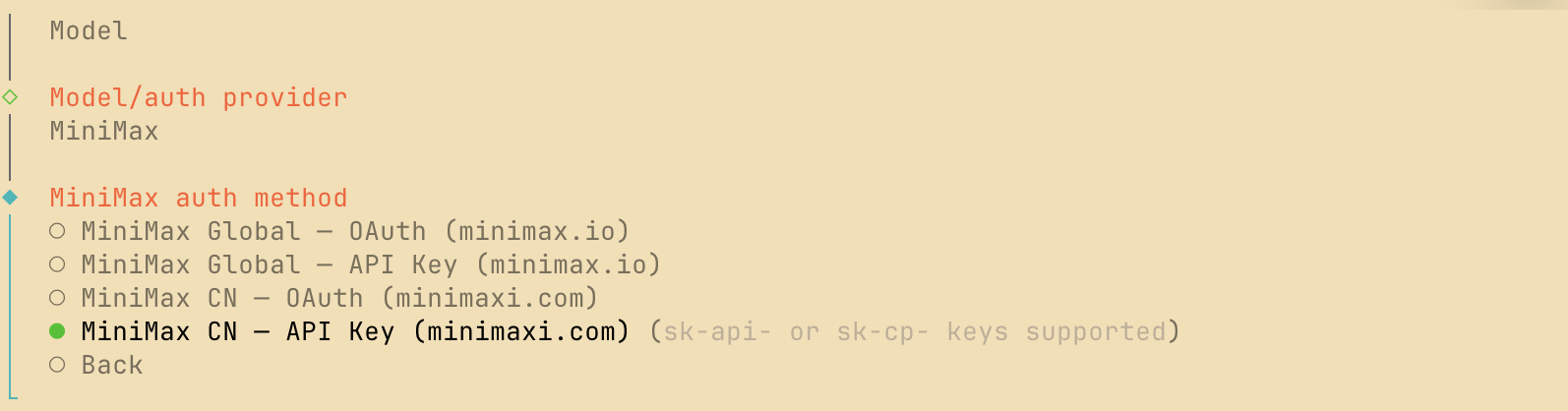 选择API Key认证方式