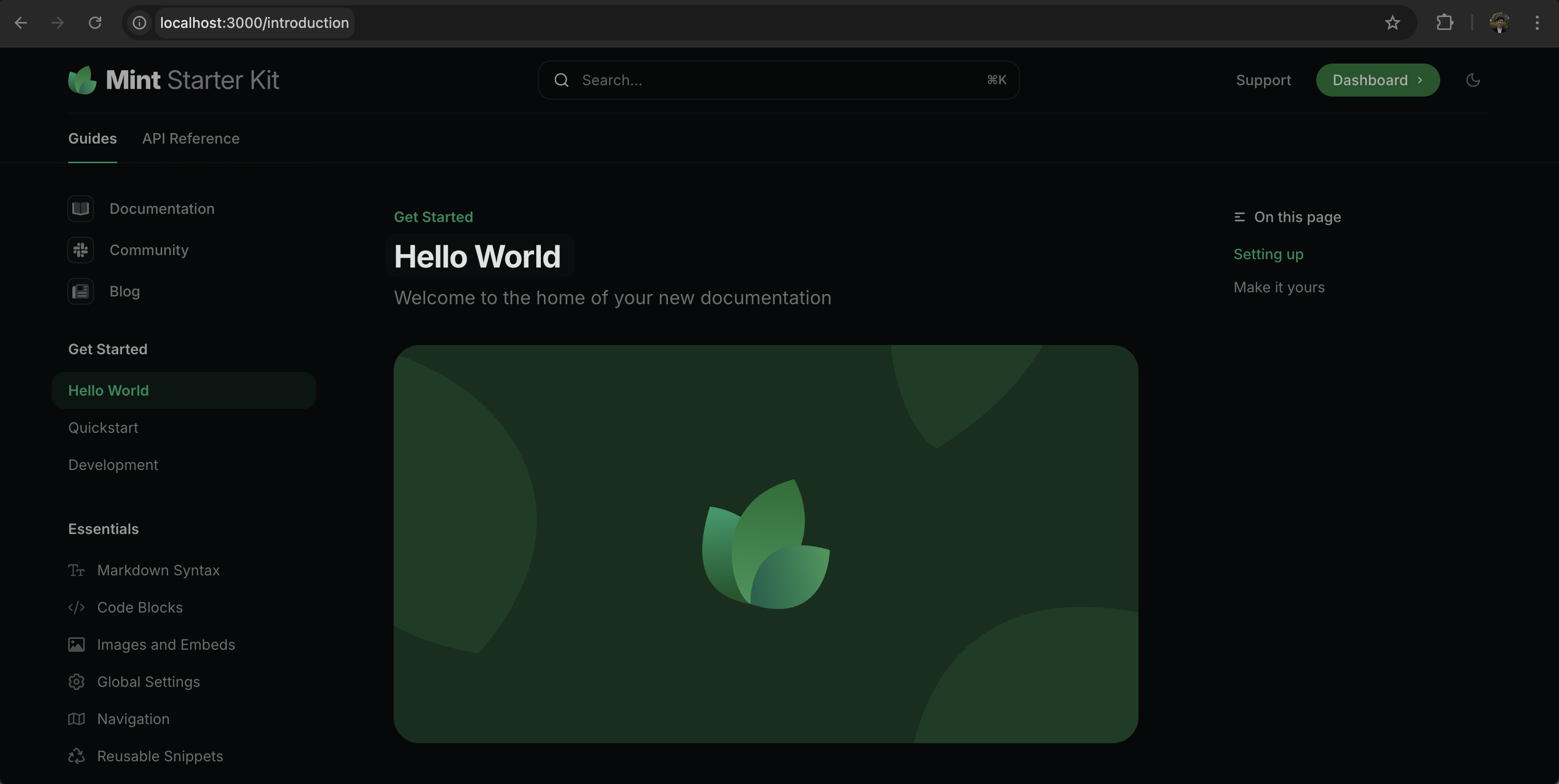 Mintlify Dev