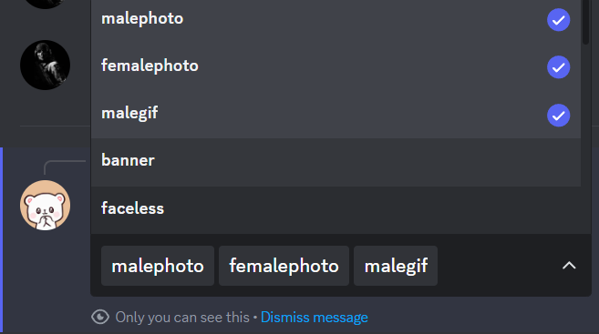 AutoPFP - Miona Docs