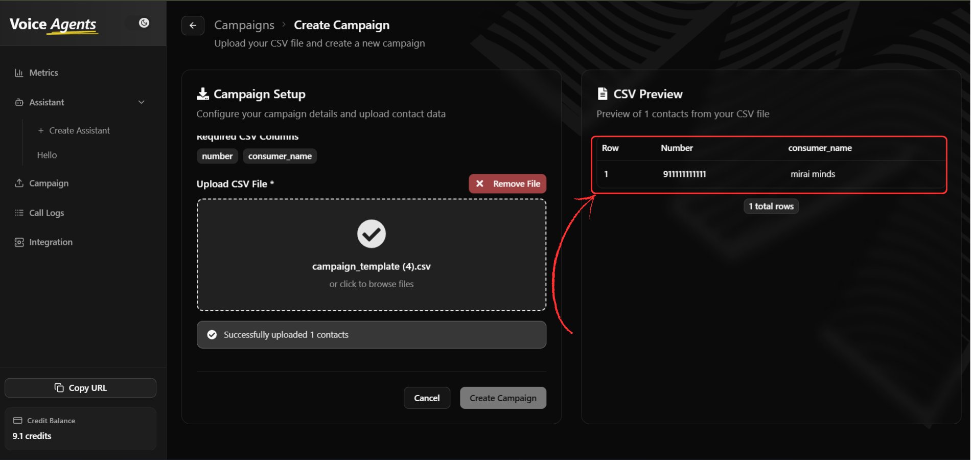 Data preview panel