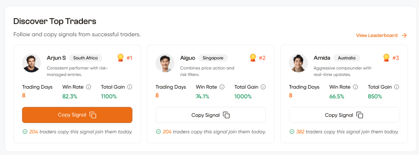Discover Top Traders section