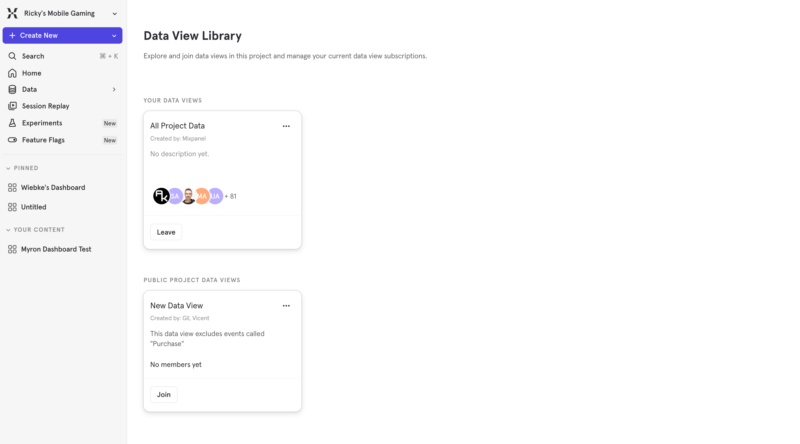 Data View Library