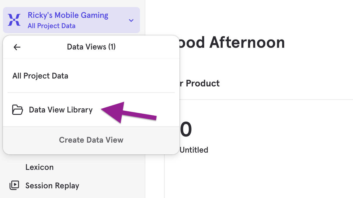 Data View Library Nav