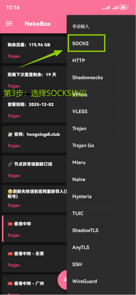 在 NekoBox 协议列表中选择 SOCKS