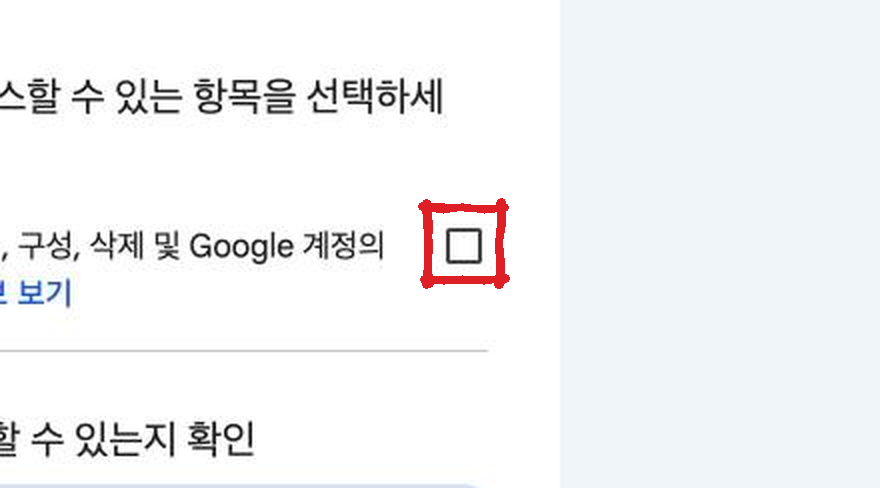 Checkbox on the Google Cloud permission consent screen (Zoomed in)