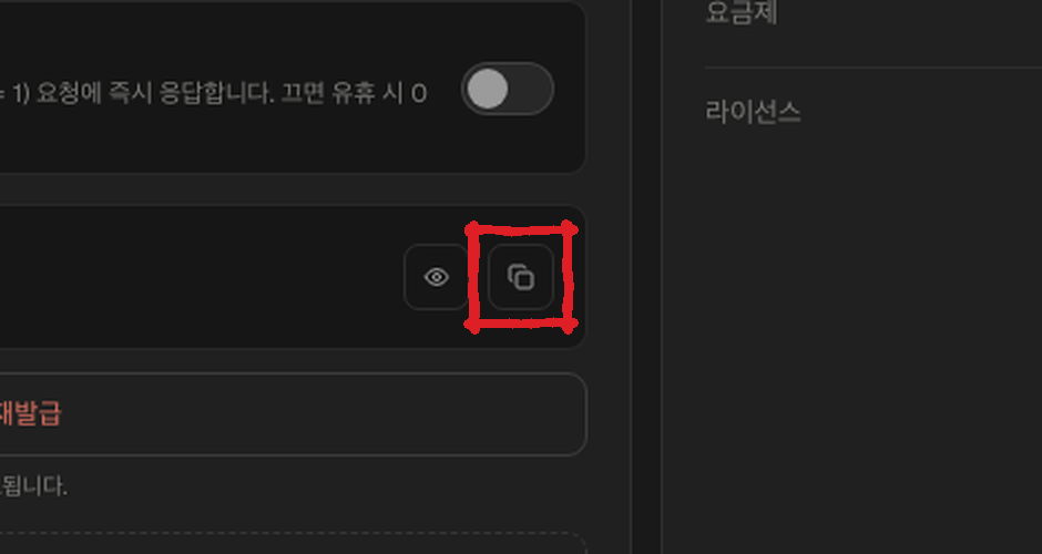 API key copy button on the App Status screen (zoomed in)