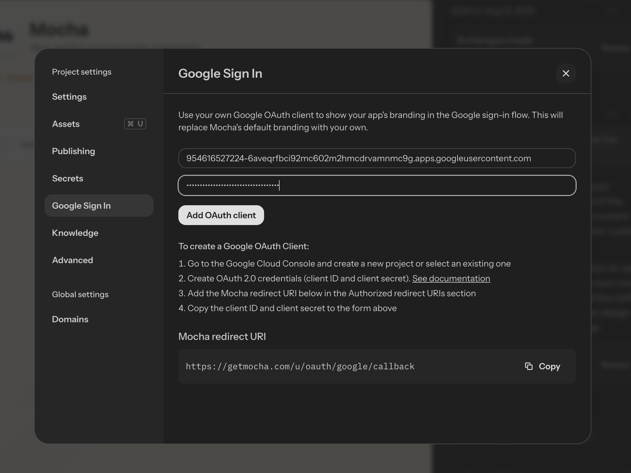 Adding custom Google OAuth client in Mocha