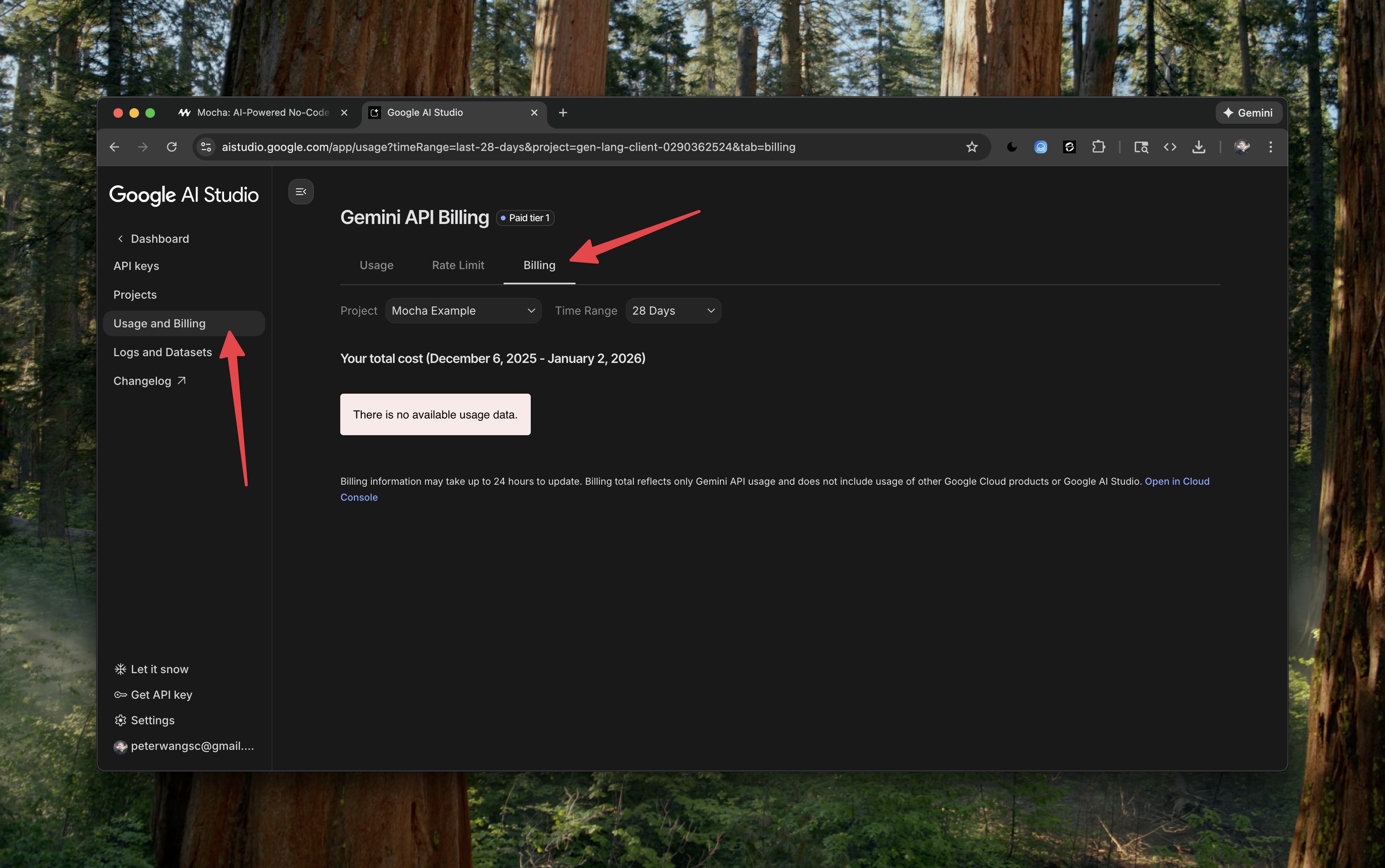 Gemini Billing Setup