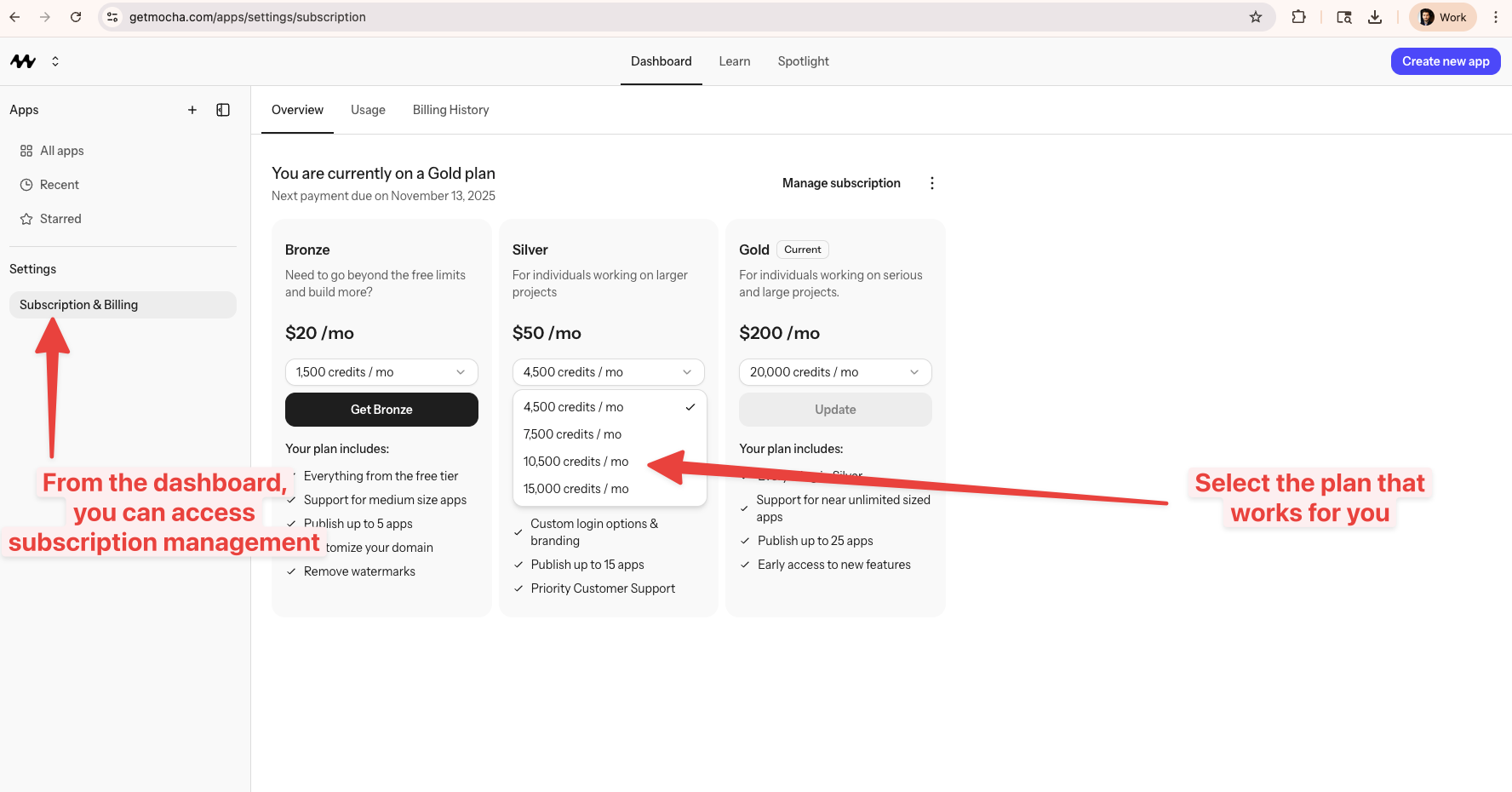 Upgrading your Mocha plan