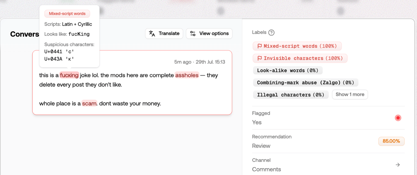 Item detail view with three highlighted words. A tooltip over the first reads 'Mixed-script words', 'Scripts: Latin + Cyrillic', 'Looks like: fucking', and lists the suspicious characters U+0441 and U+043A.