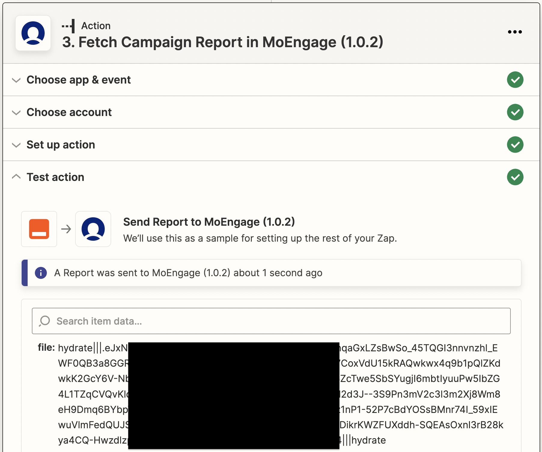 Fetch Campaign Report action mapped with File Name and API Secret