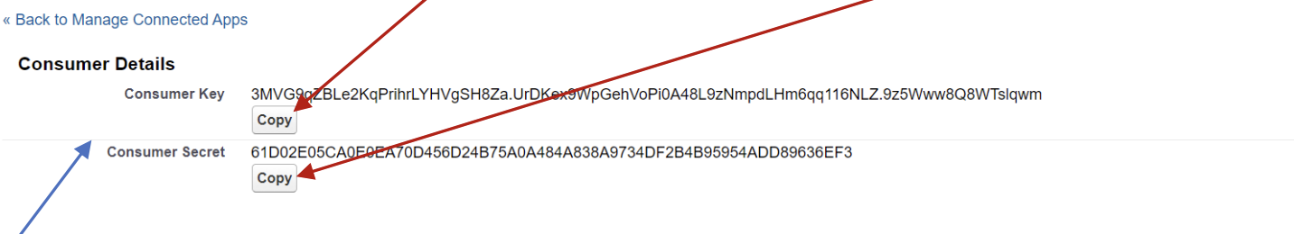Salesforce consumer details page with Copy buttons for Consumer Key and Consumer Secret
