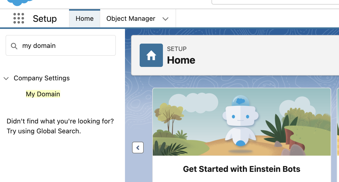 Salesforce Setup search showing My Domain in the results