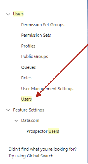 Salesforce Setup search showing Users in the results