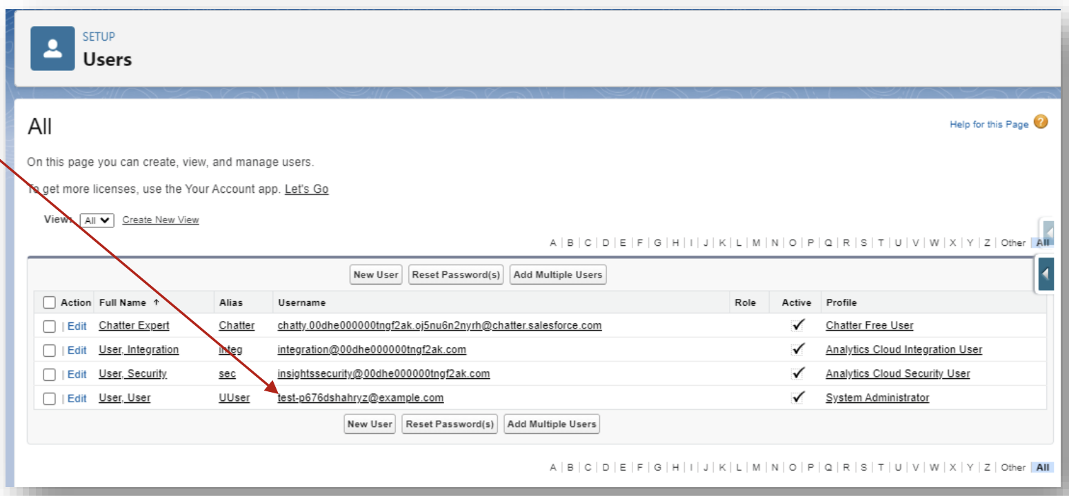 Salesforce user list with a user selected for permission assignment