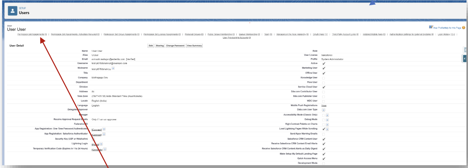 User detail page in Salesforce with Permission Set Assignments link visible
