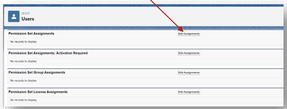 Permission Set Assignments section with Edit Assignments button highlighted