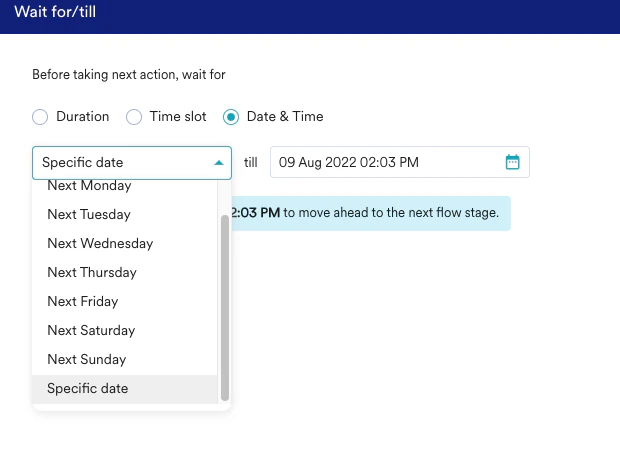 WaitTill_DateTime_SpecificDate.png