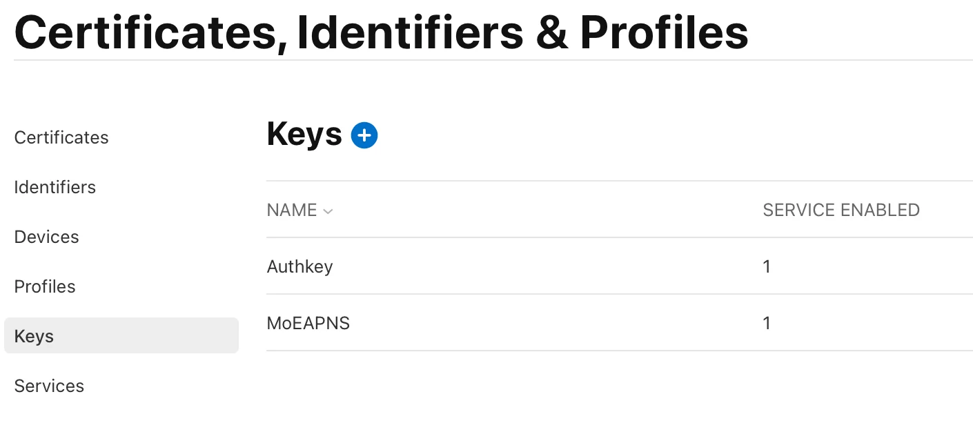 Apnskey6