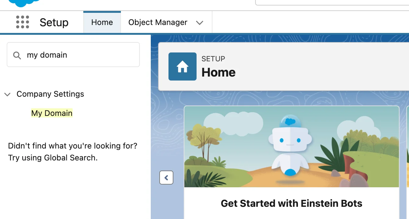Salesforce Setup search showing My Domain in the results