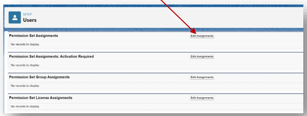 Permission Set Assignments section with Edit Assignments button highlighted