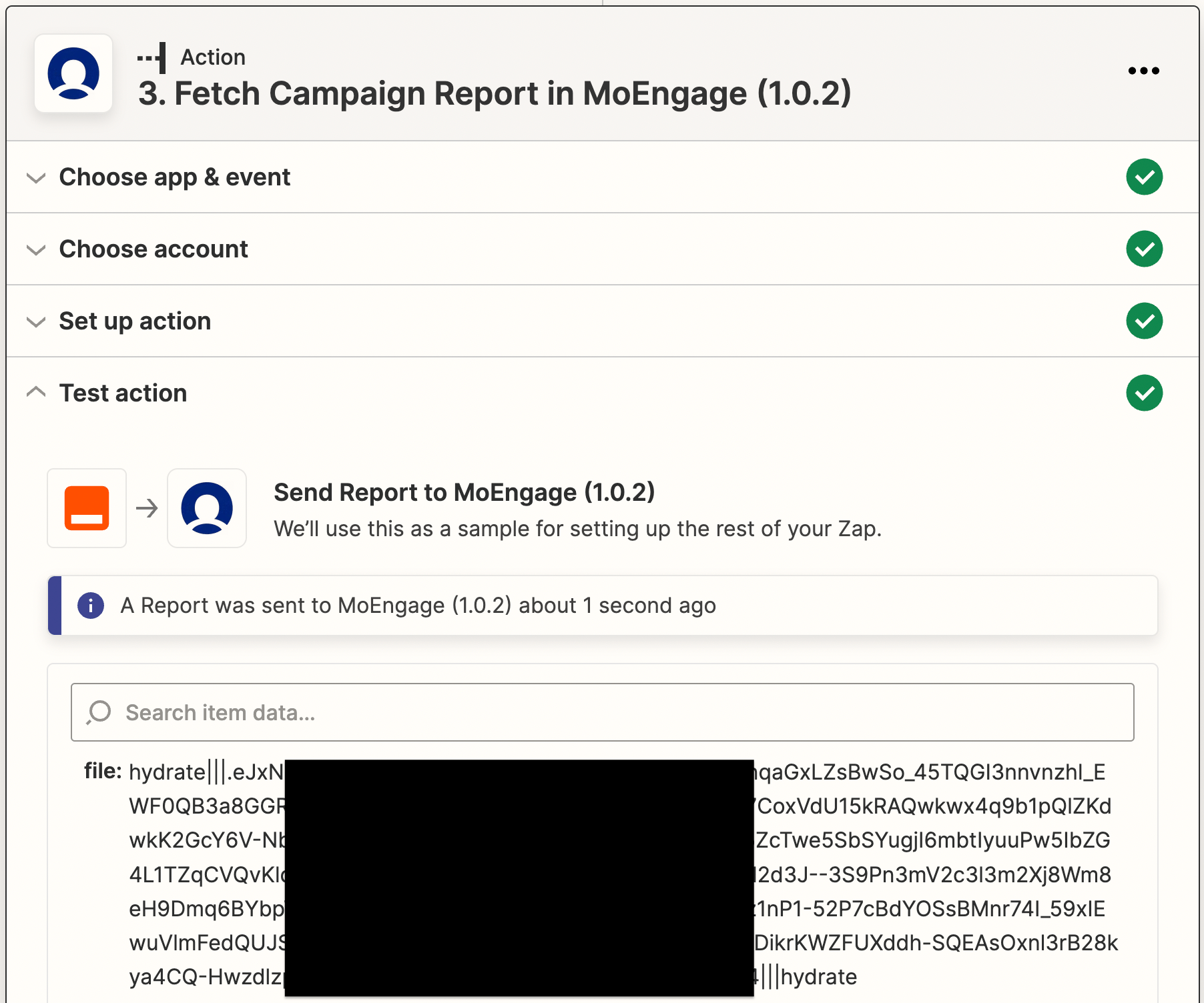 Fetch Campaign Report action mapped with File Name and API Secret