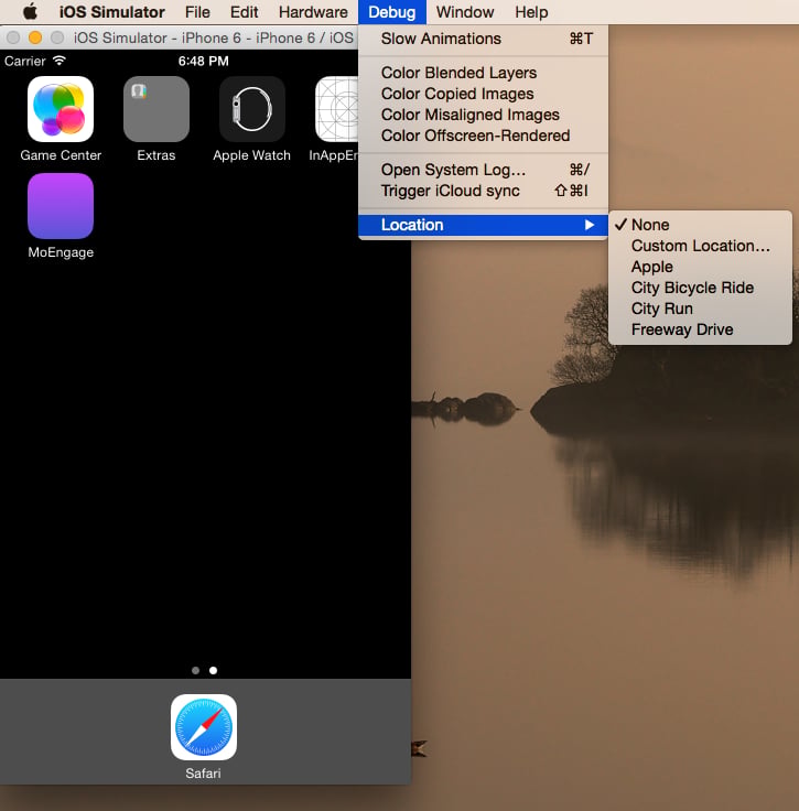 Simulating a custom location in the iOS simulator using the Debug menu