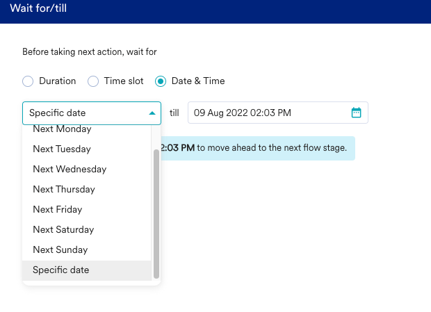 WaitTill_DateTime_SpecificDate.png