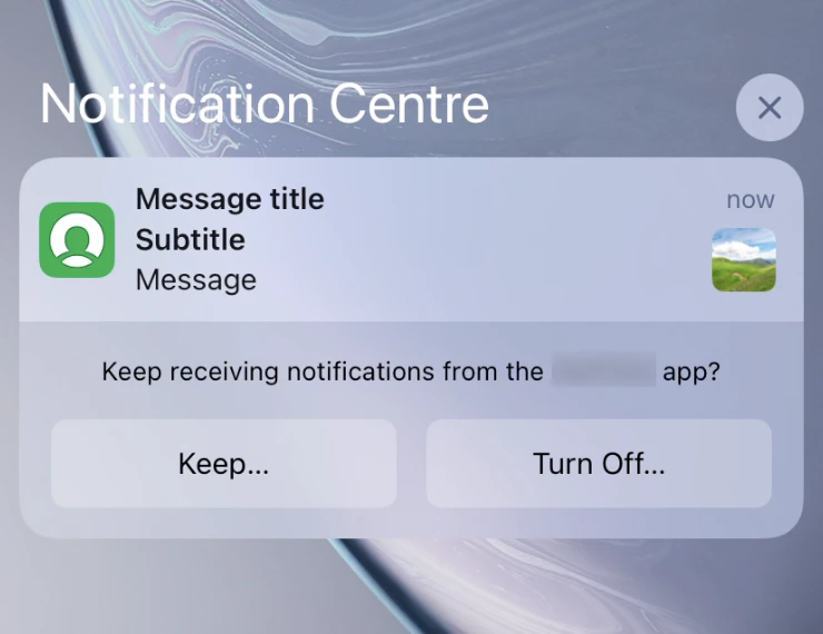 provisional push.png