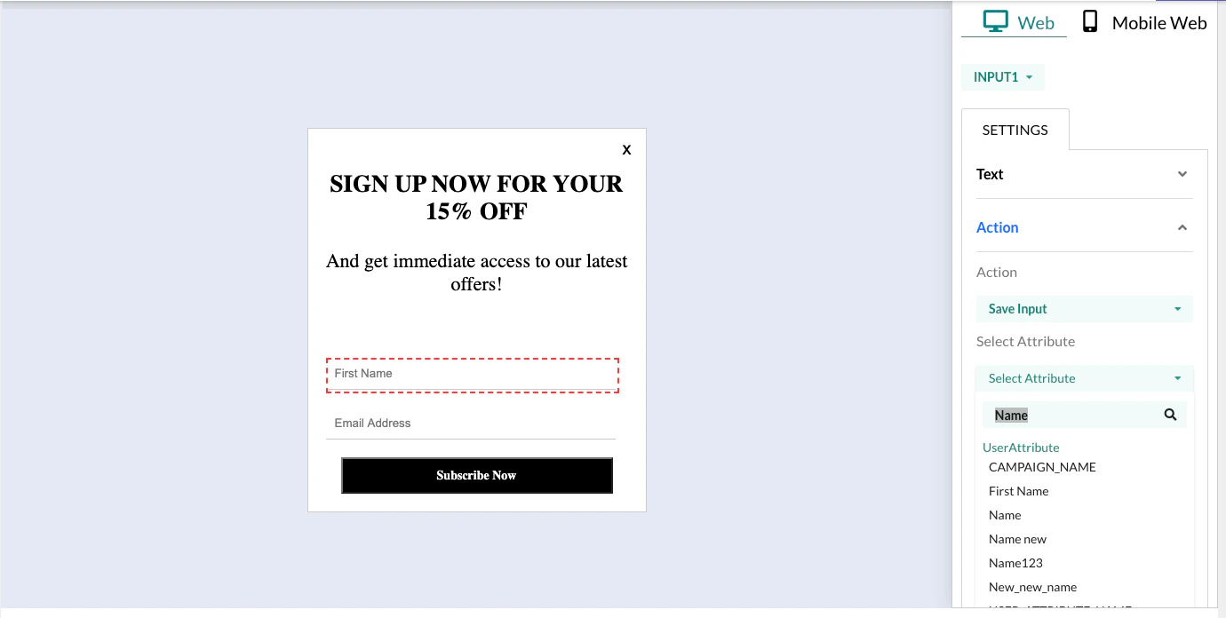Screenshot showing how to map input widget to user attributes.