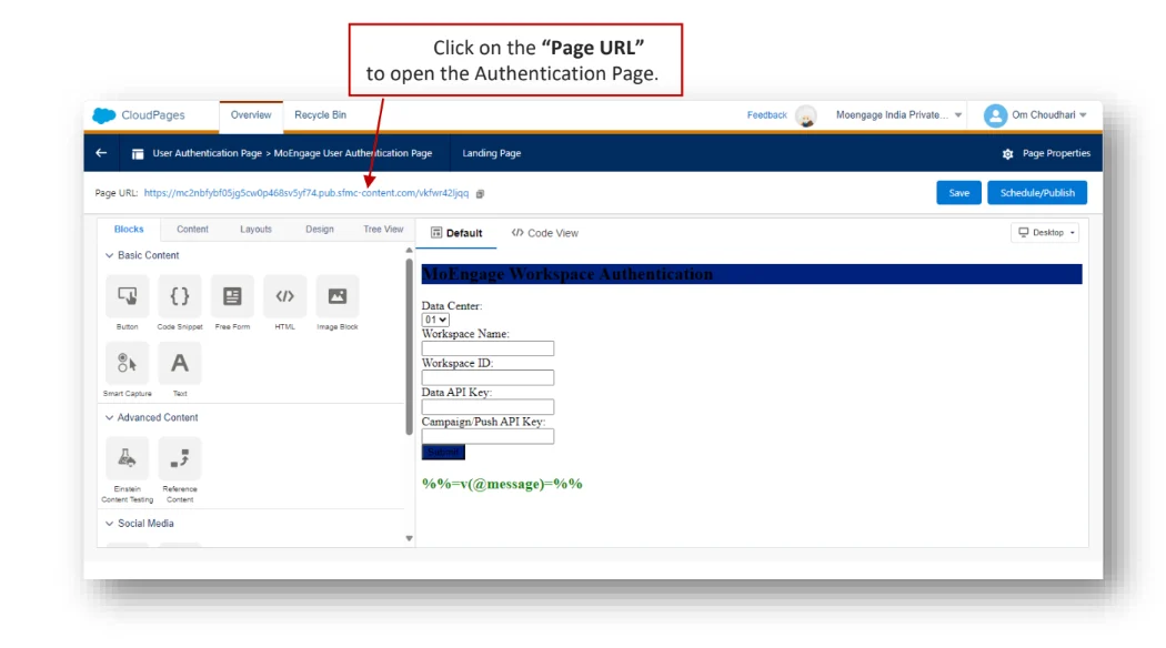 Opening the Page URL to access the Authentication Page