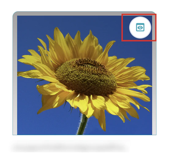 Screenshot 2025-10-08 at 3.07.23 PM.png