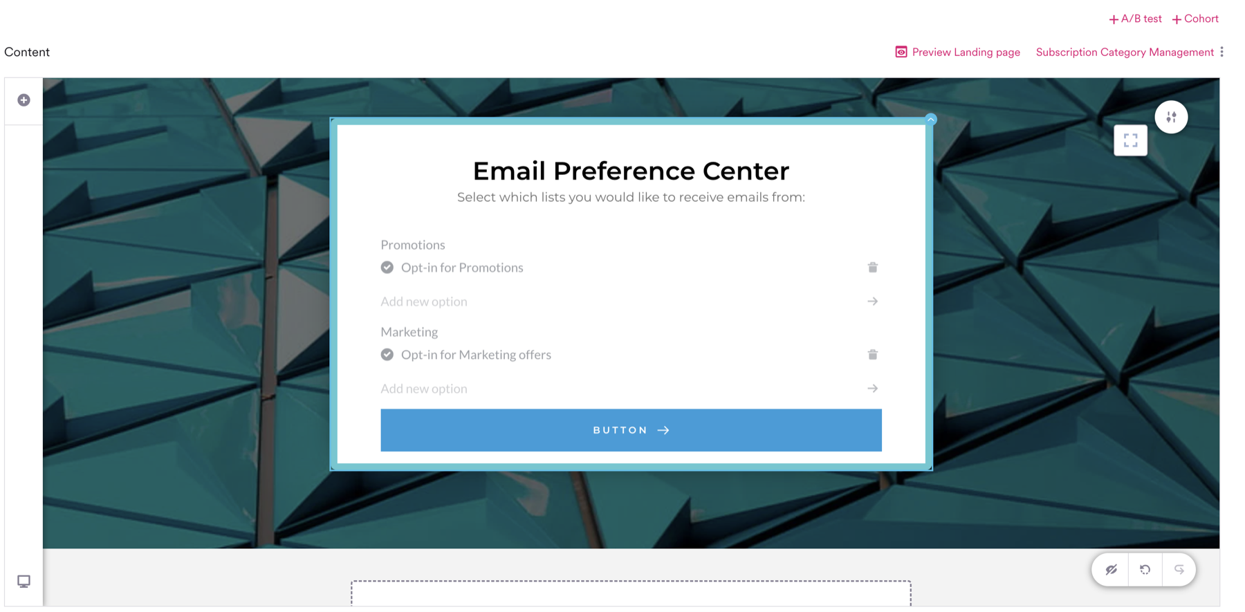 Custom form with Promotions and Marketing labels, each with a single opt-in option.
