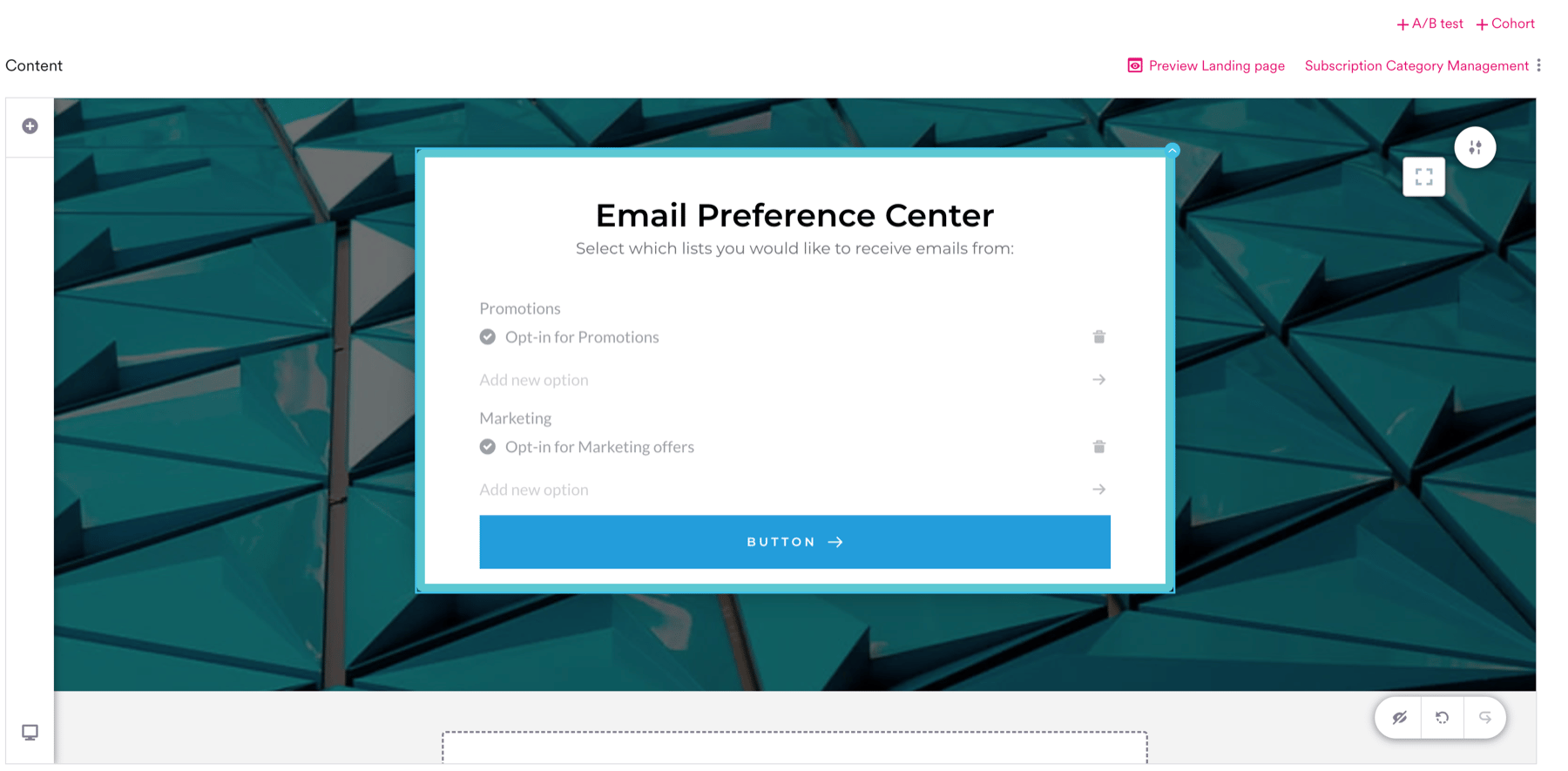 Custom form with Promotions and Marketing labels, each with a single opt-in option.