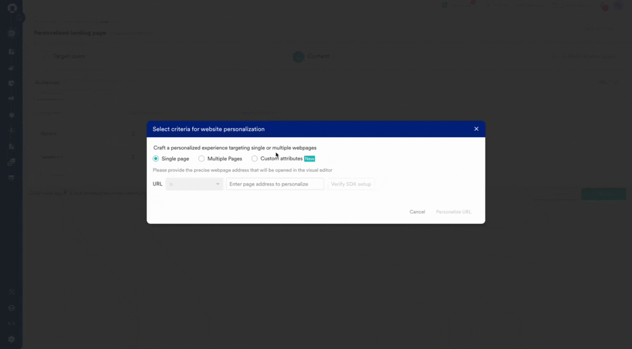 Custom Attributes Personalize.gif