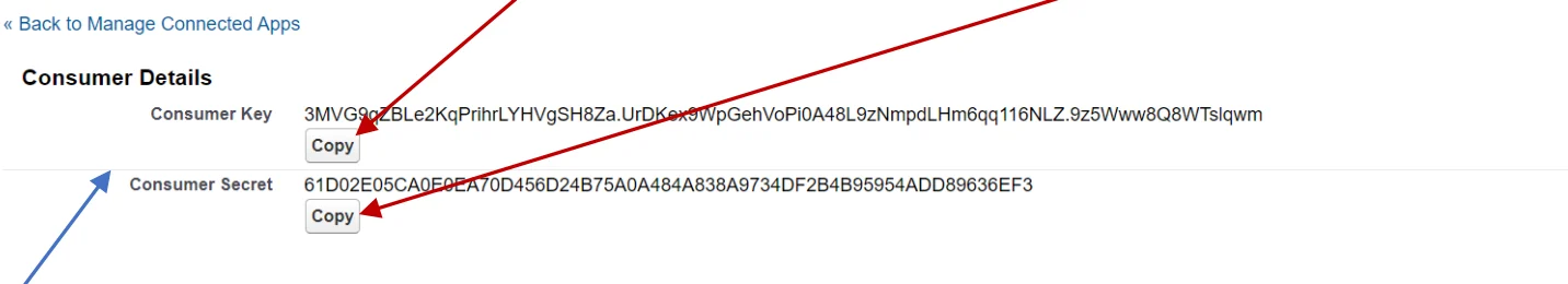 Salesforce consumer details page with Copy buttons for Consumer Key and Consumer Secret