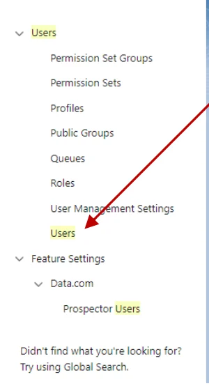 Salesforce Setup search showing Users in the results