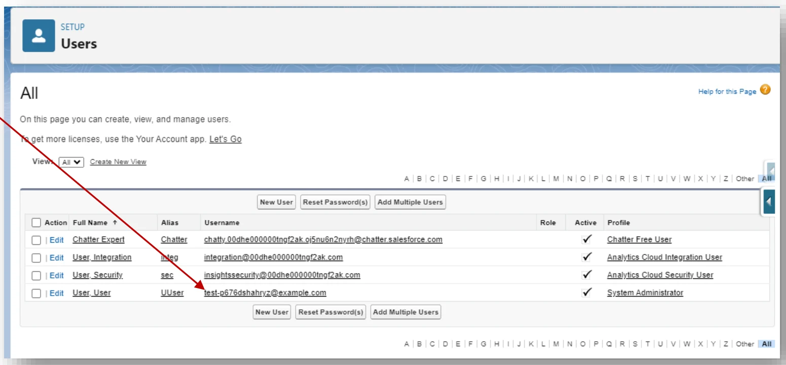 Salesforce user list with a user selected for permission assignment