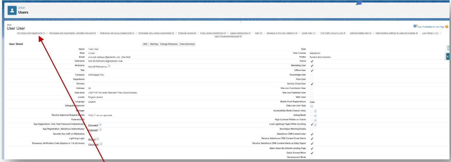 User detail page in Salesforce with Permission Set Assignments link visible