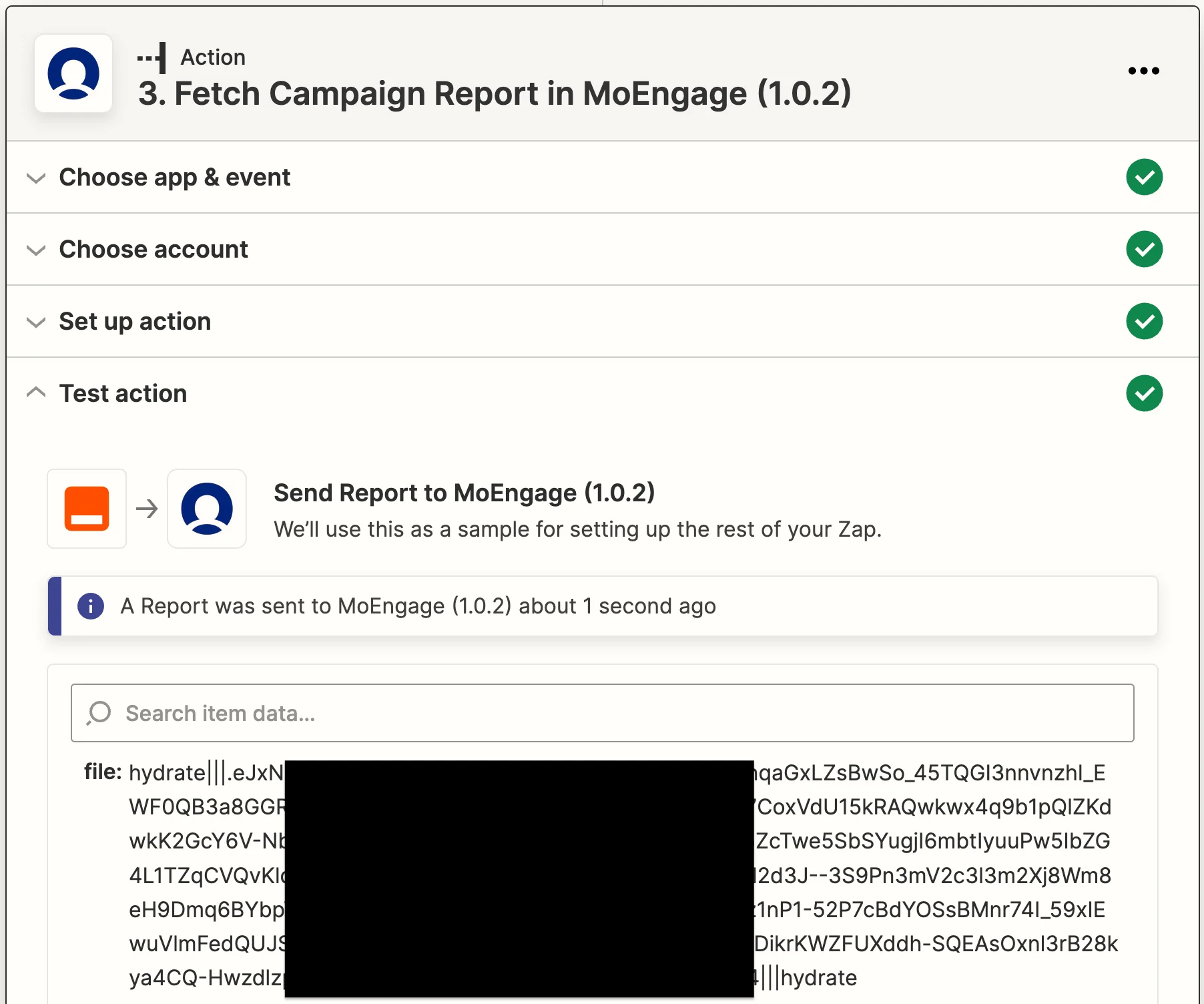 Fetch Campaign Report action mapped with File Name and API Secret