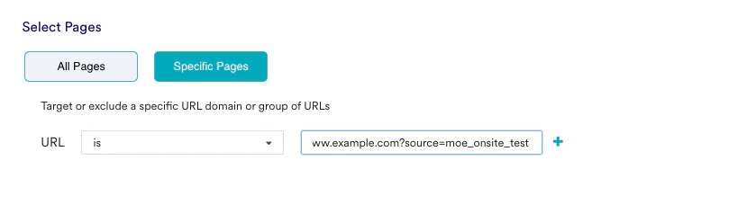Screenshot showing the dummy source parameter added to a URL in campaign settings.