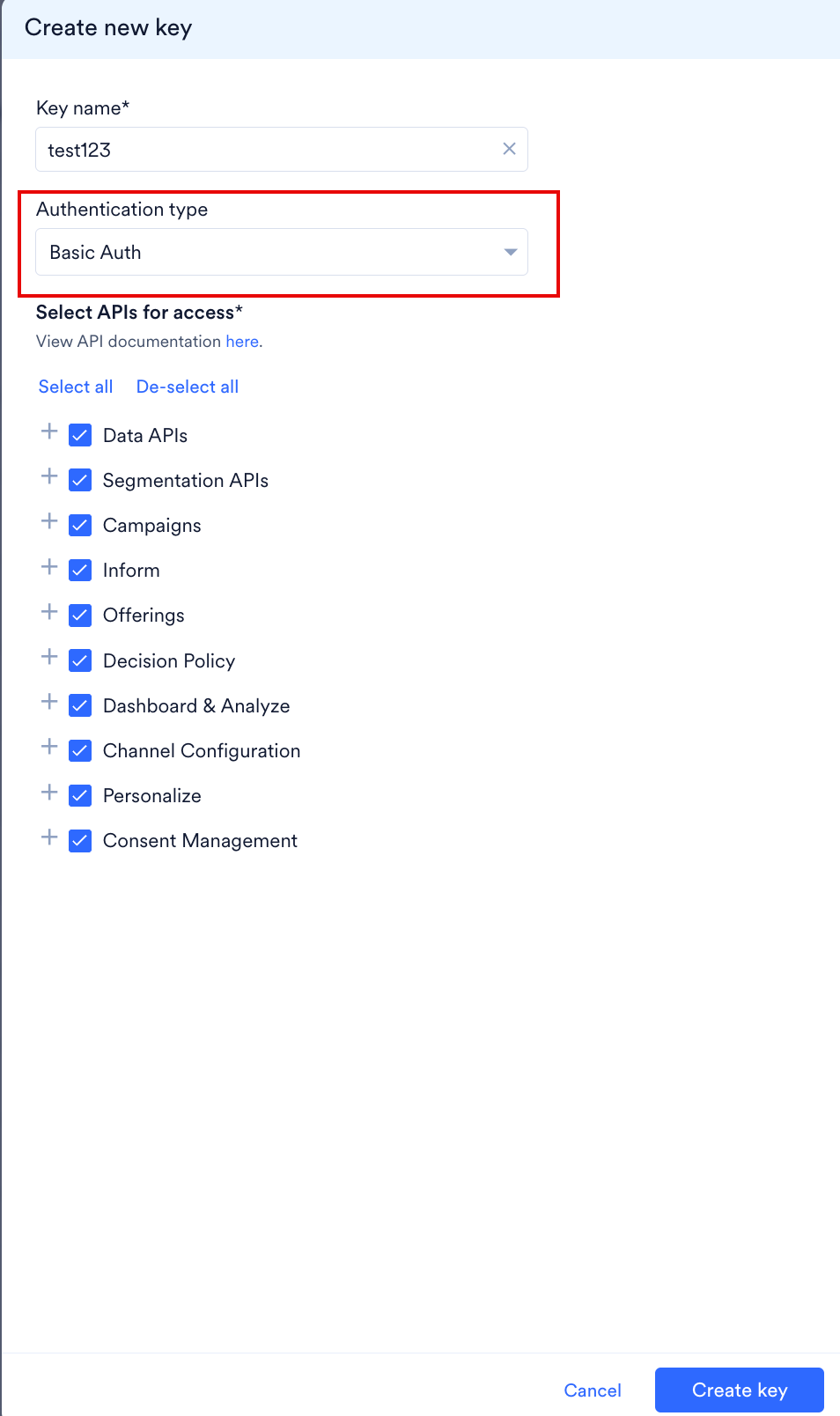 Create new key dialog with Authentication type set to Basic Auth, showing the Key name box and the API groups listed under Select APIs for access