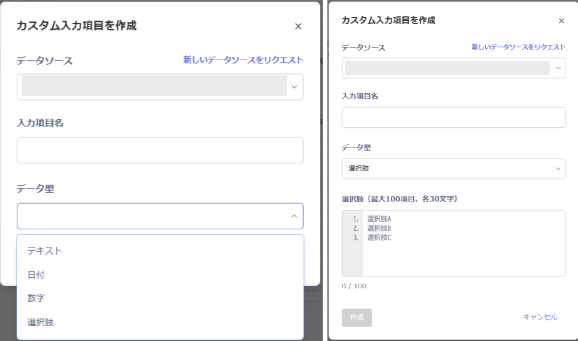 「カスタム入力項目を作成」画面でデータソース・項目名・データ型を設定する画面