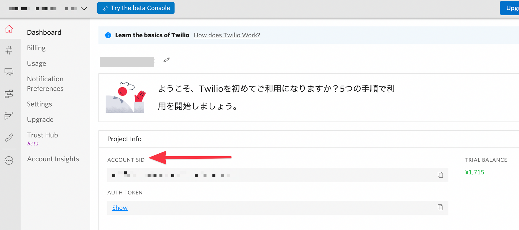 Account SID screen