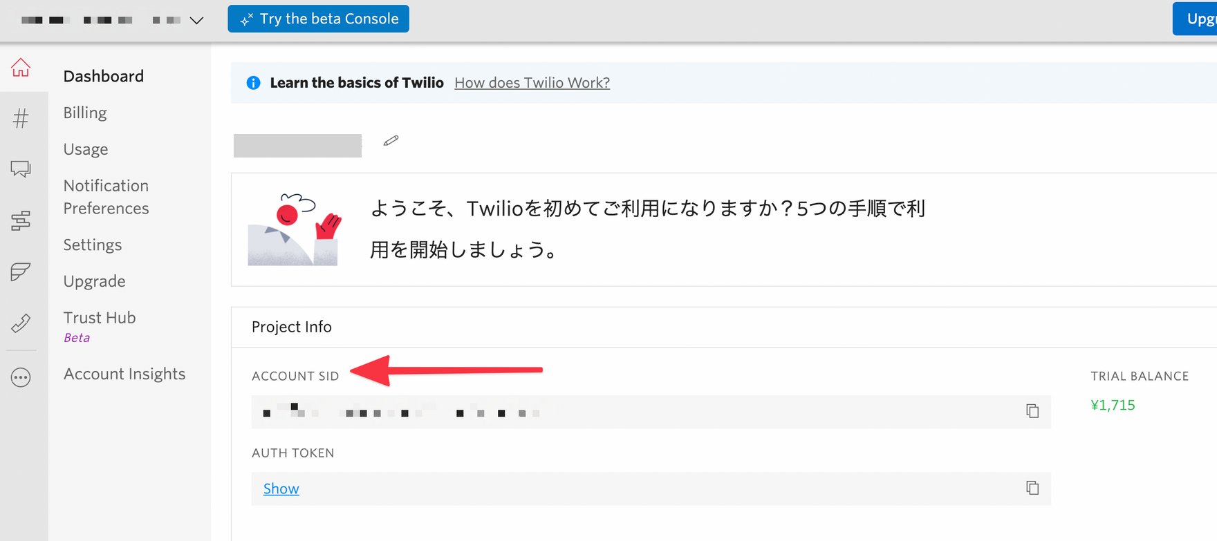 Account SID screen