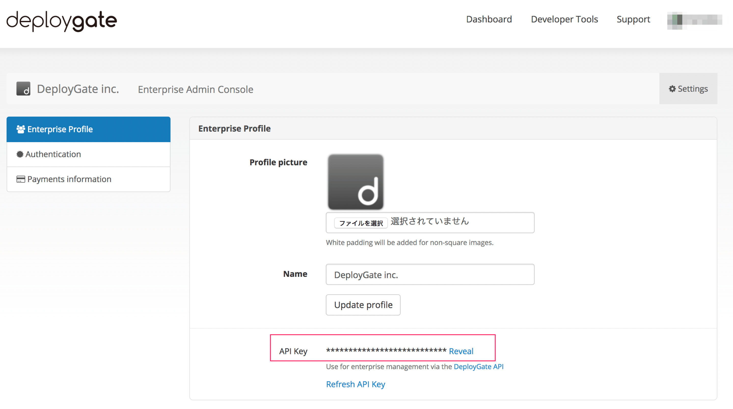 API Keyの表示