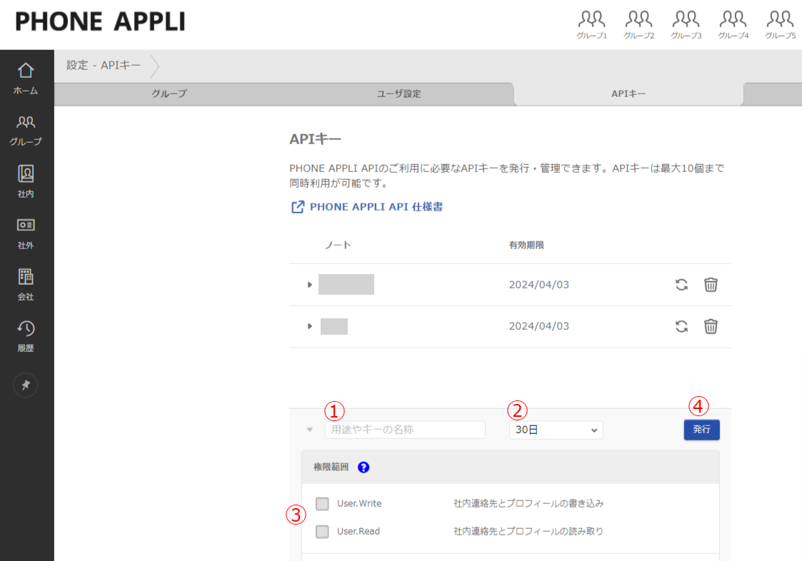 API key issuance screen