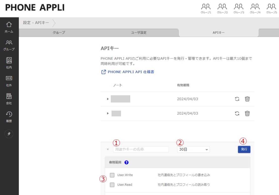 API key issuance screen