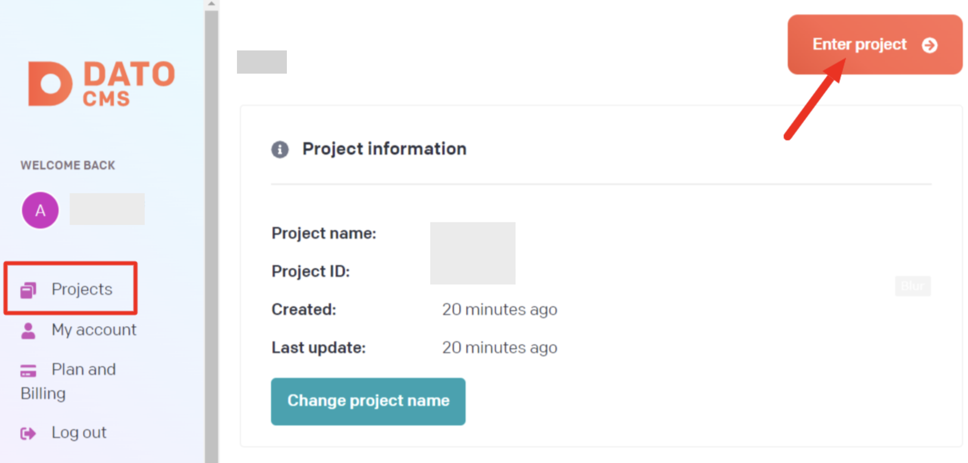 DatoCMS project selection