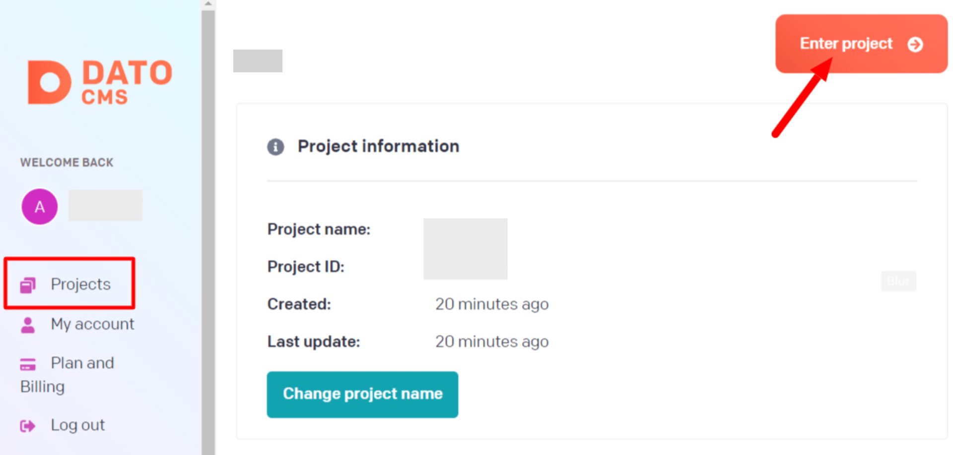 DatoCMS project selection